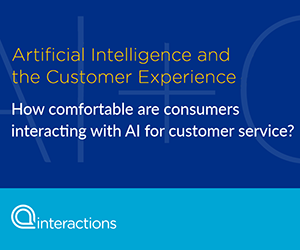 Artificial Intelligence and the Customer Experience