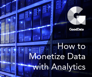 How to Monetize Data with Analytics